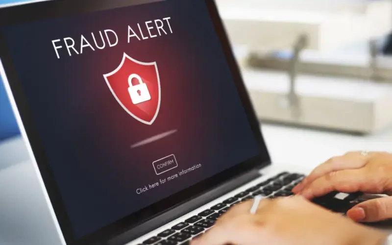 dreamstime_xl_74800484-e1754907989469-1024x660