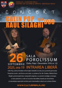 concert calin pop (1)