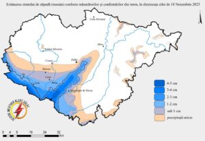 created by InCollage