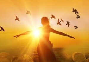 2f425362bc7cb78b2e0636d03688eb11-2