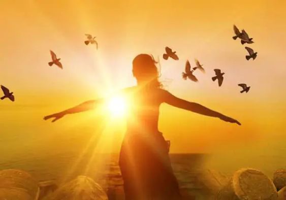 2f425362bc7cb78b2e0636d03688eb11-2