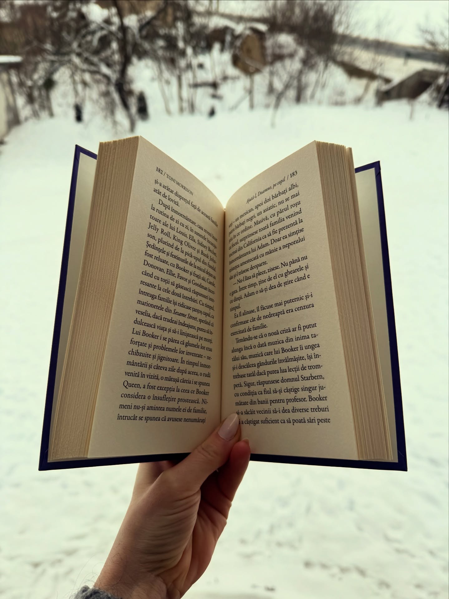 Zalău are un nou club de lectură: Book Talk, pentru pasionații de cărți!