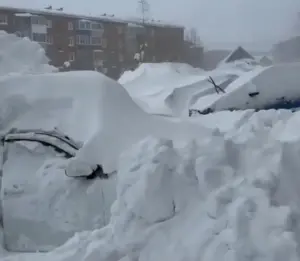 sEQ7XWnEMNVqezcDxpnLRXKFJntgzoxaOYsRrOVt