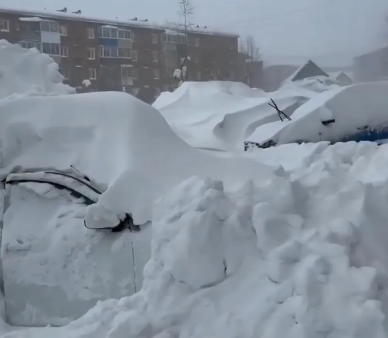 sEQ7XWnEMNVqezcDxpnLRXKFJntgzoxaOYsRrOVt