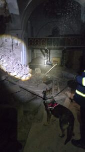 627500020_1214531924153686_6676555131416533348_n