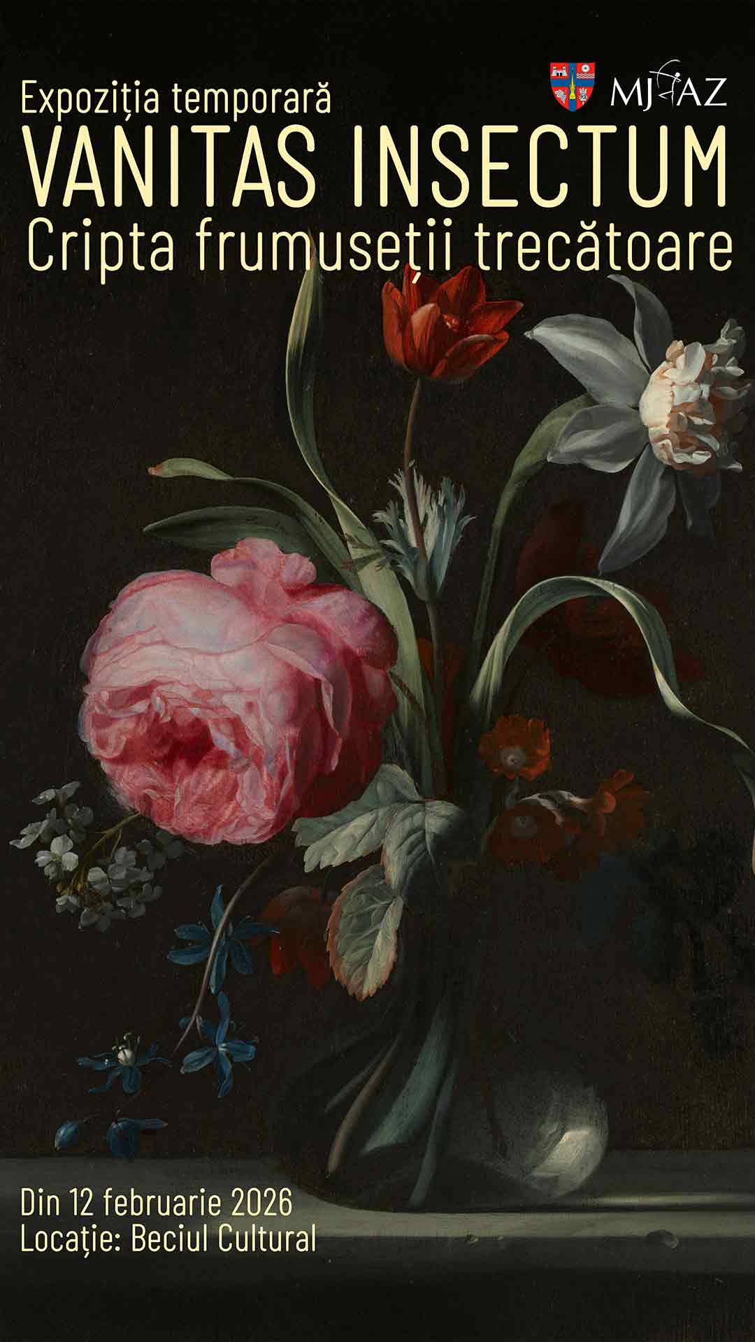 Afis-intrare-sn-full-HD