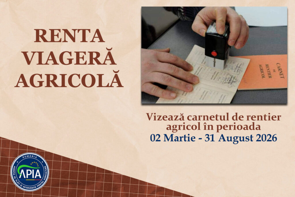 renta_viagera-1536x1024