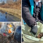 Mobilizare exemplară pentru un oraș mai curat: „Luna Curățeniei de Primăvară” a început în forță la Zalău