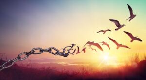 Freedom - Chains That Transform Into Birds - Charge Concept