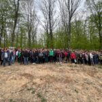„Pădurea Erasmus”: 360 de cadre didactice au plantat o nouă „filă verde” în Sălaj