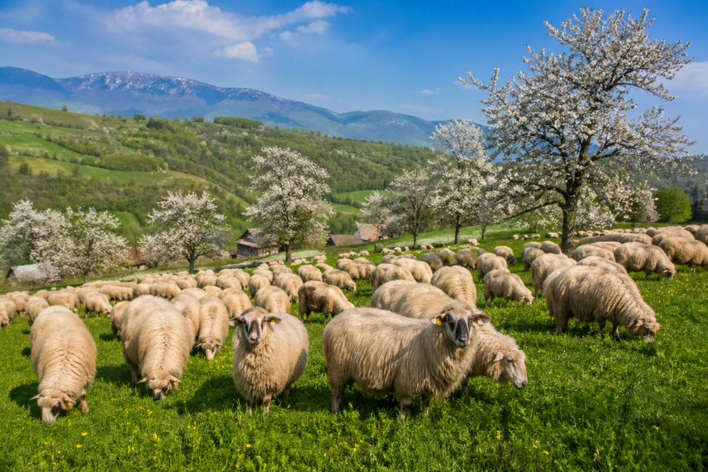 Apr 28, 2026, 09_08_05 AM