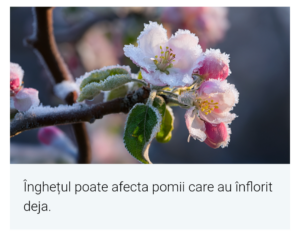 Screenshot_20260408-065414