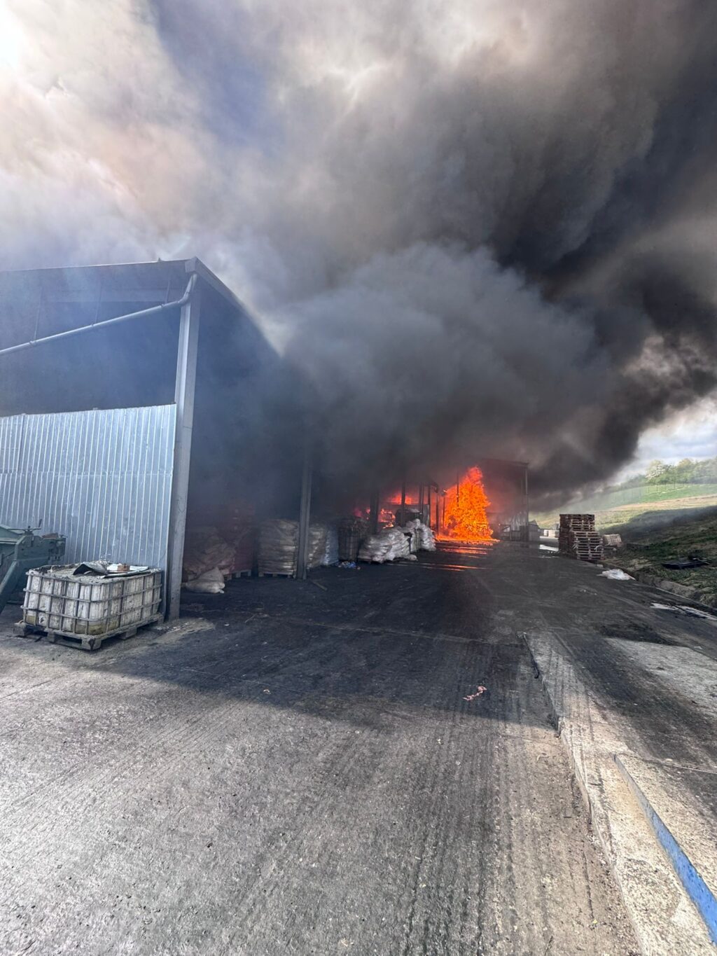 WhatsApp Image 2026-04-10 at 15.55.25