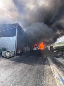 WhatsApp Image 2026-04-10 at 15.55.25