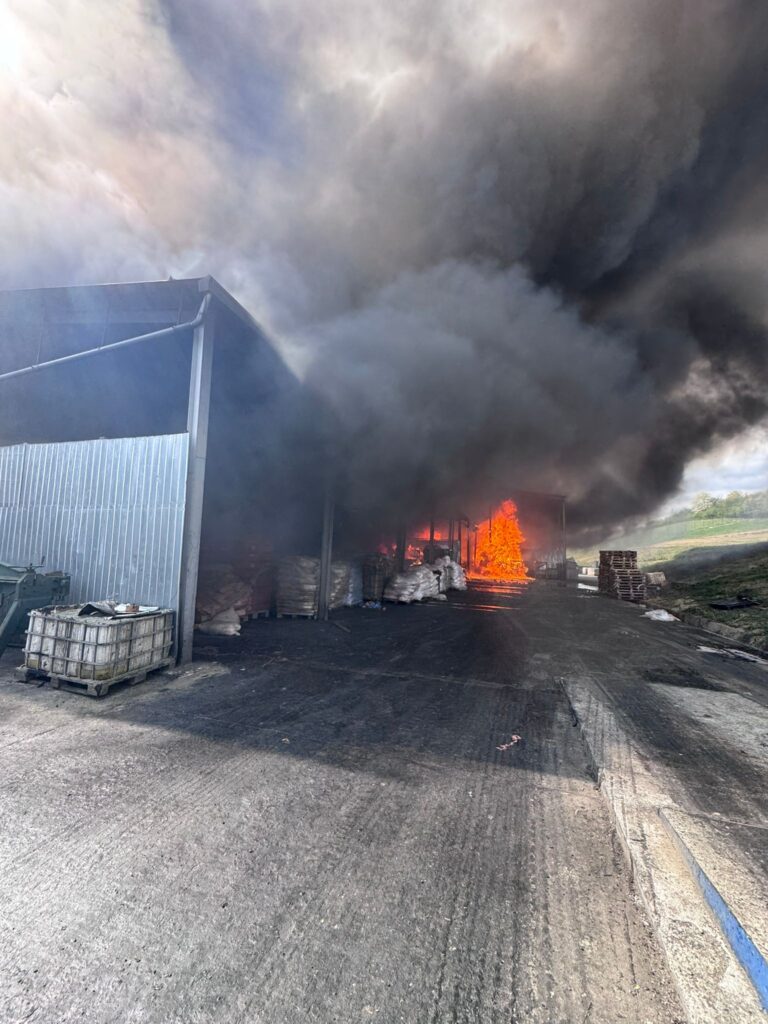 WhatsApp Image 2026-04-10 at 15.55.25