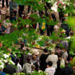 Izvorul Tămăduirii