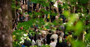 izvorul-tamaduiri-faget-1024x536