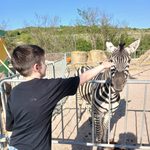 Nu rata! Zoo Park România mai poate fi vizitat doar până pe 10 mai, la Zalău