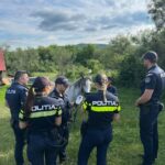 Acțiune de amploare a polițiștilor în zona Hida: 83 de sancțiuni aplicate și patru persoane identificate pentru infracțiuni
