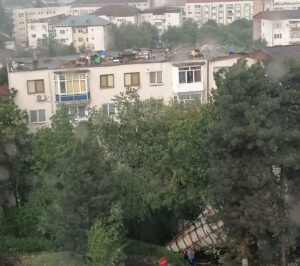 WhatsApp Image 2026-06-30 at 17.04.59