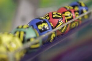 bile-loto-inquam-foto-octav-ganea-scaled