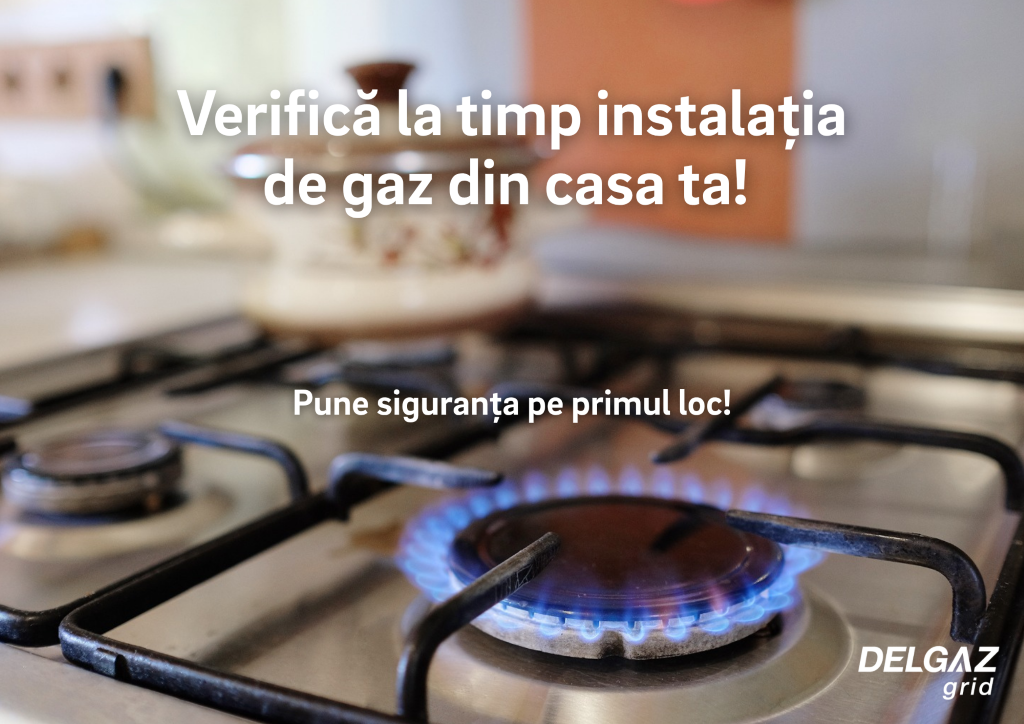 verificari revizii 1