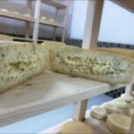 Tânărul fermier din Sâg care a pariat pe brânzeturile maturate și a câștigat încrederea clienților