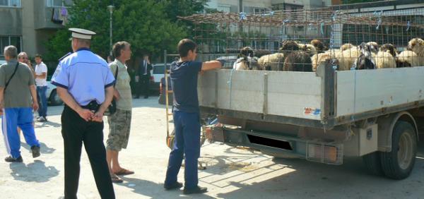 Actiune de amploare  a politistilor la Crasna