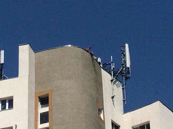 amenintat-ca-se-arunca-de-pe-blocul-in-care-se-afla-cec-bank-de-pe-bulevard16_56478