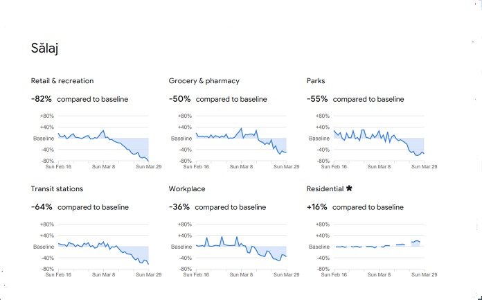 Analiza Google: Salajenii au redus cu 82% iesirile cu scop recreativ