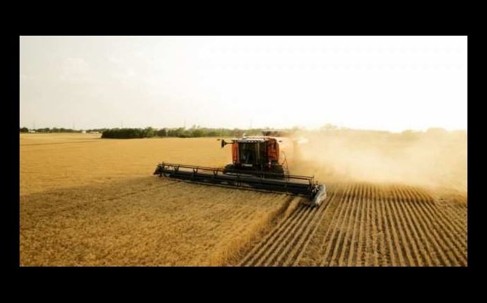 Anul 2020, anul agriculturii romanesti