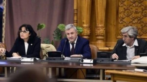 averile-dobandite-ilegal-inainte-de-2012-nu-se-mai-confisca02_59729