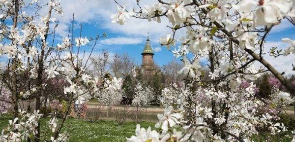 Azi are loc echinoctiul  de primavara, debutul  primaverii astronomice