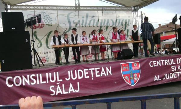 banii-oferiti-de-consiliul-judetean-pentru-activitati-de-sport-si-recreere-de-interes-judetean-revin-in-cea-mai-mare-parte-comunitatilor-maghiare06_55502