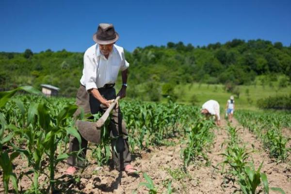 beneficiile-promise-de-psd-alde-fermierilor-se-amana-cu-un-an-dar-cu-promisiuni-ca-va-fi-odata-ca-niciodata08_58722