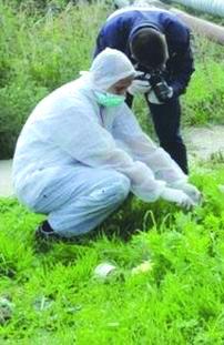 blajan-daniela-este-acuzata-ca-si-a-ucis-pruncul-nou-nascut0_55682