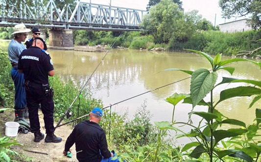 braconierii-isi-fac-de-cap-in-salaj-dar-si-jandarmii-isi-fac-datoria02_57361