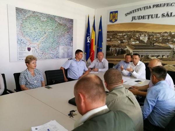 Cazurile de pesta porcina inregistrate in judetul Satu Mare au bagat in sedinta autoritatile din Salaj