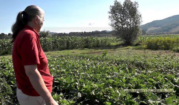 ce-se-poarta-si-care-i-trendul-in-agricultura-judetului-salaj03_58034
