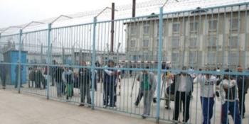 cea-mai-mare-problema-natiunii-fost-rezolvata-puscariasii-sunt-mai-fericiti0_57329