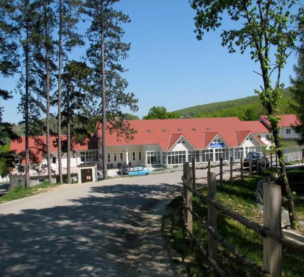 centrul-acasa-din-zalau-face-minuni-dar-statului-nu-i-pasa-de-performa06_59354