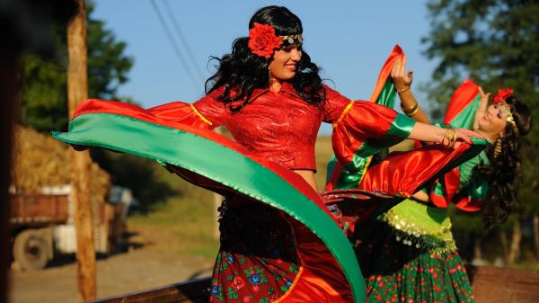 centrul-de-cultura-inspectoratul-scolar-prefectura-si-asociatia-pro-europa-sarbatoresc-azi-ziua-dezrobirii-romilor01_58877