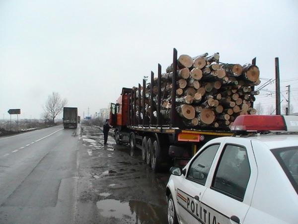 Circa 400.000 de metri cubi de lemn  au fost transportati ilegal anul trecut