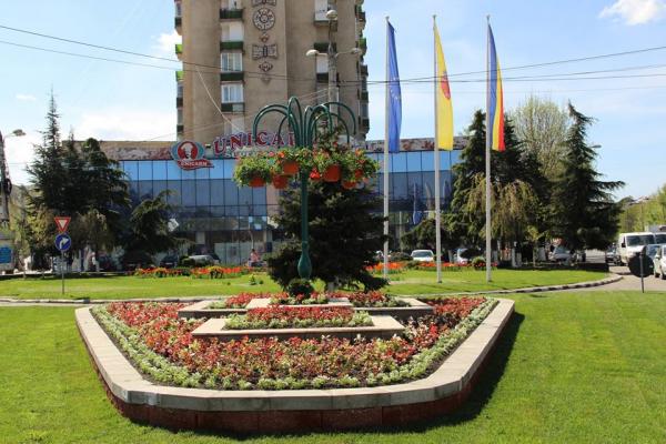 citadin-umplut-zalaul-de-lalele0_59579