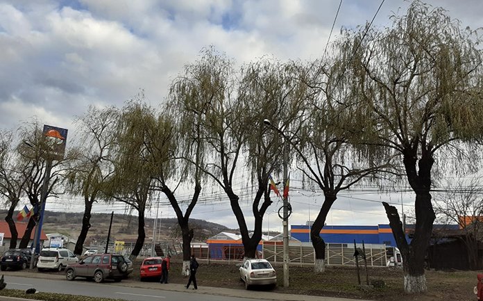 Citadin Zalau scoate la "lumina" zona verde de langa Dedeman