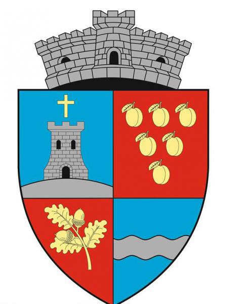 comuna-valcau-de-jos-isi-face-steag-si-stema-de-7000-de-lei010_58892