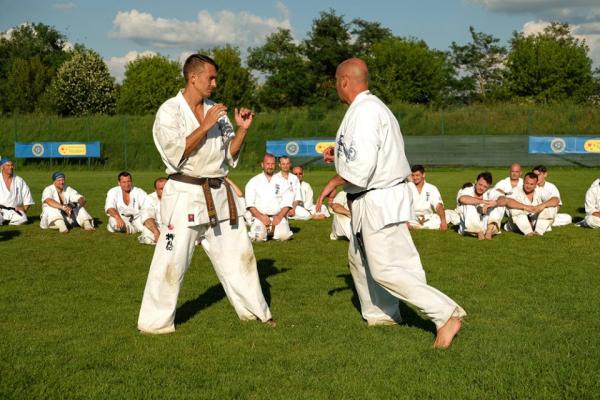 cristian-boldu-primit-lecii-de-karate-de-la-un-belgian0_56354
