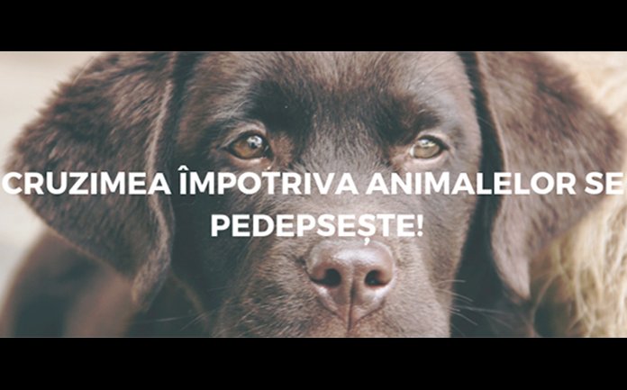 Cruzimea impotriva animalelor se pedepseste