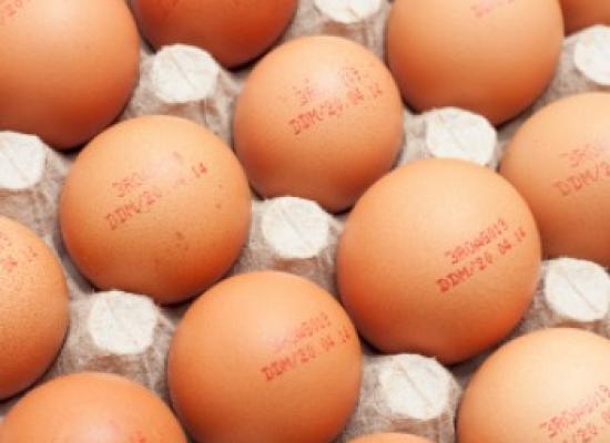 cum-cunoastem-ouale-dupa-cifrele-scrise-pe-ele03_59454