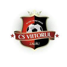 CUPA DE VARA VIITORUL 2019